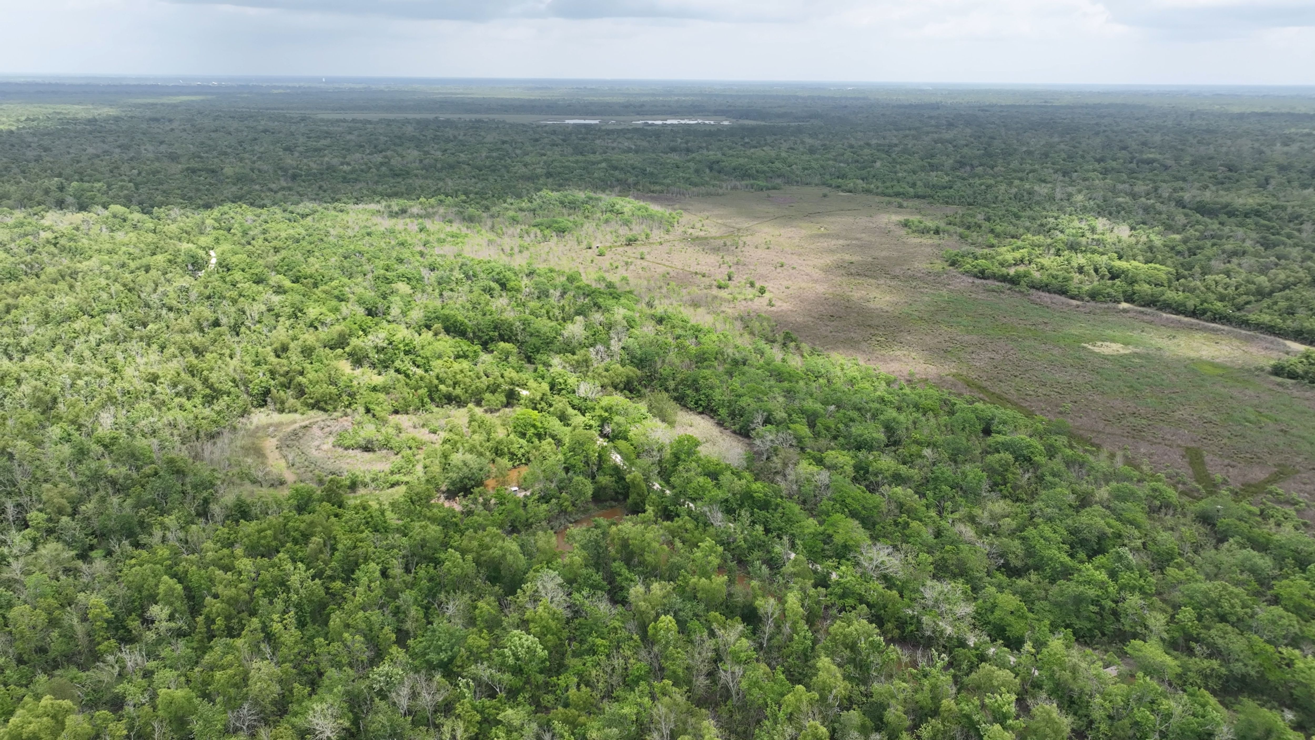 Listing Photo: Spanish Lake Iberville Parish Louisiana